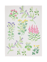 80072-5502-02-10; Finlayson Joutomaa Keittiöpyyhe Monivärinen / 50x70 cm