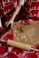 70940-4547-06-10_2; Finlayson Elefantti Keittiöpyyhe 2 kpl Punainen / 50x70 cm